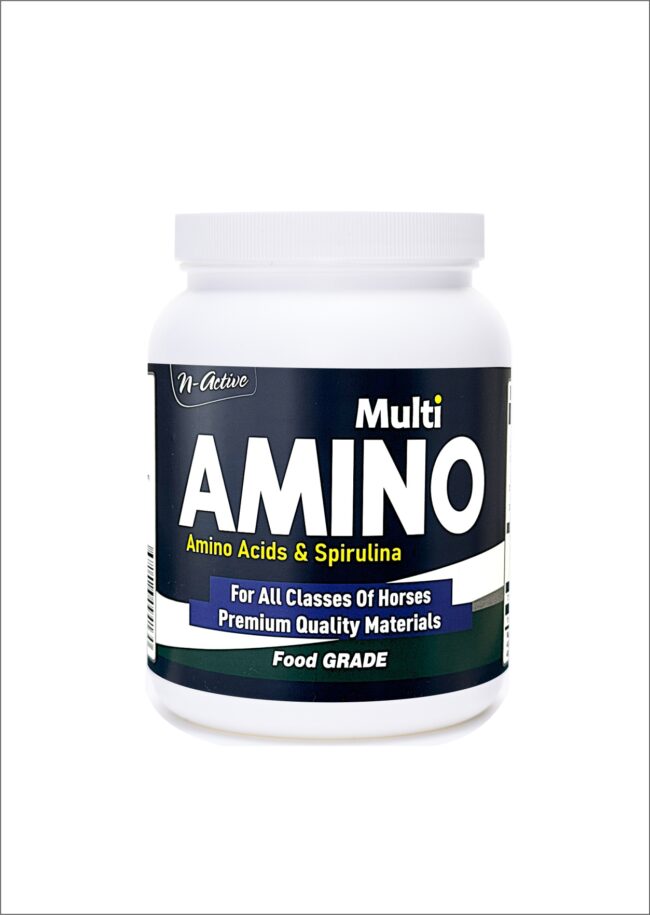 N'Active Multi Amino 1 Kg